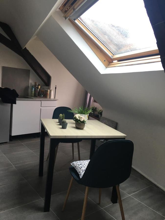 Plantagenet -Le Vieux Mans - Hyper Centre Apartment Le Mans Luaran gambar